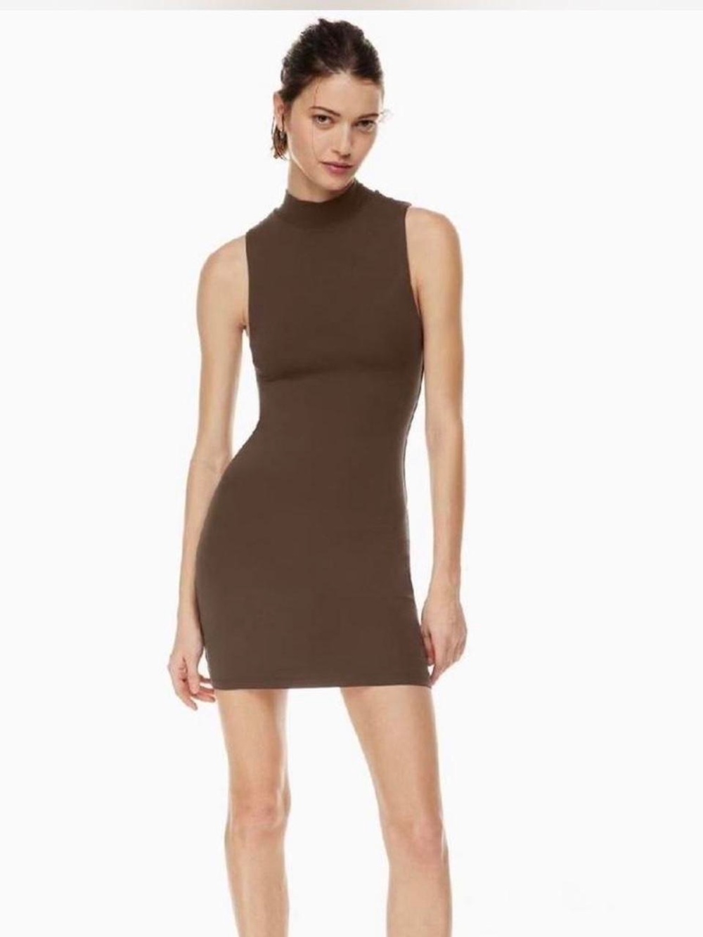 aritzia Bavarian brown mini dress